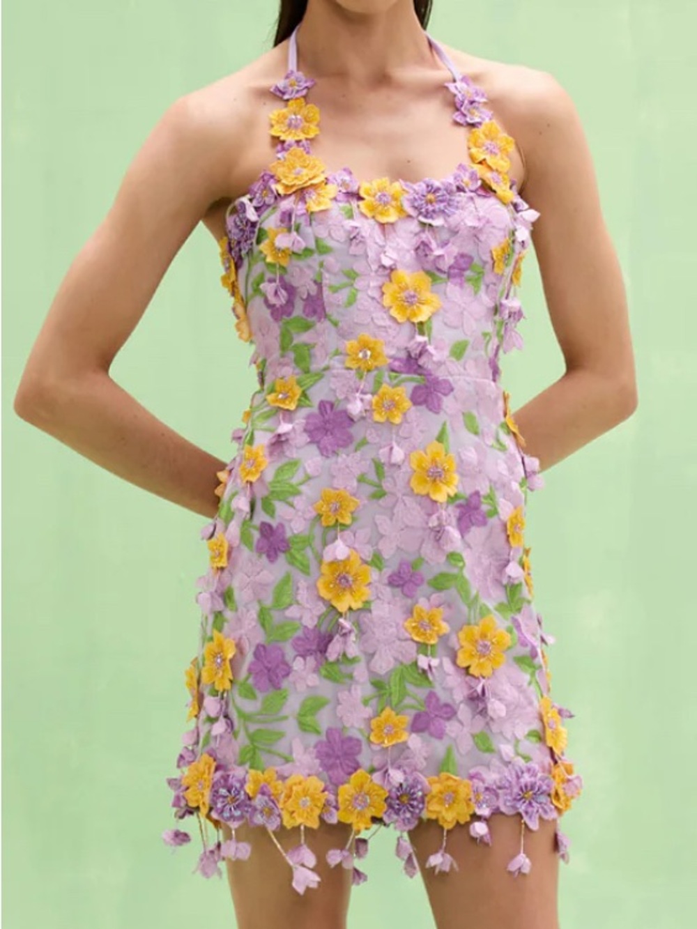 Patbo TULLE PINA EMBROIDERED MINI DRESS